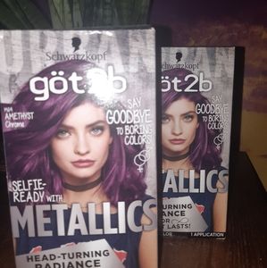 Göt 2b Amethist Hair Dye